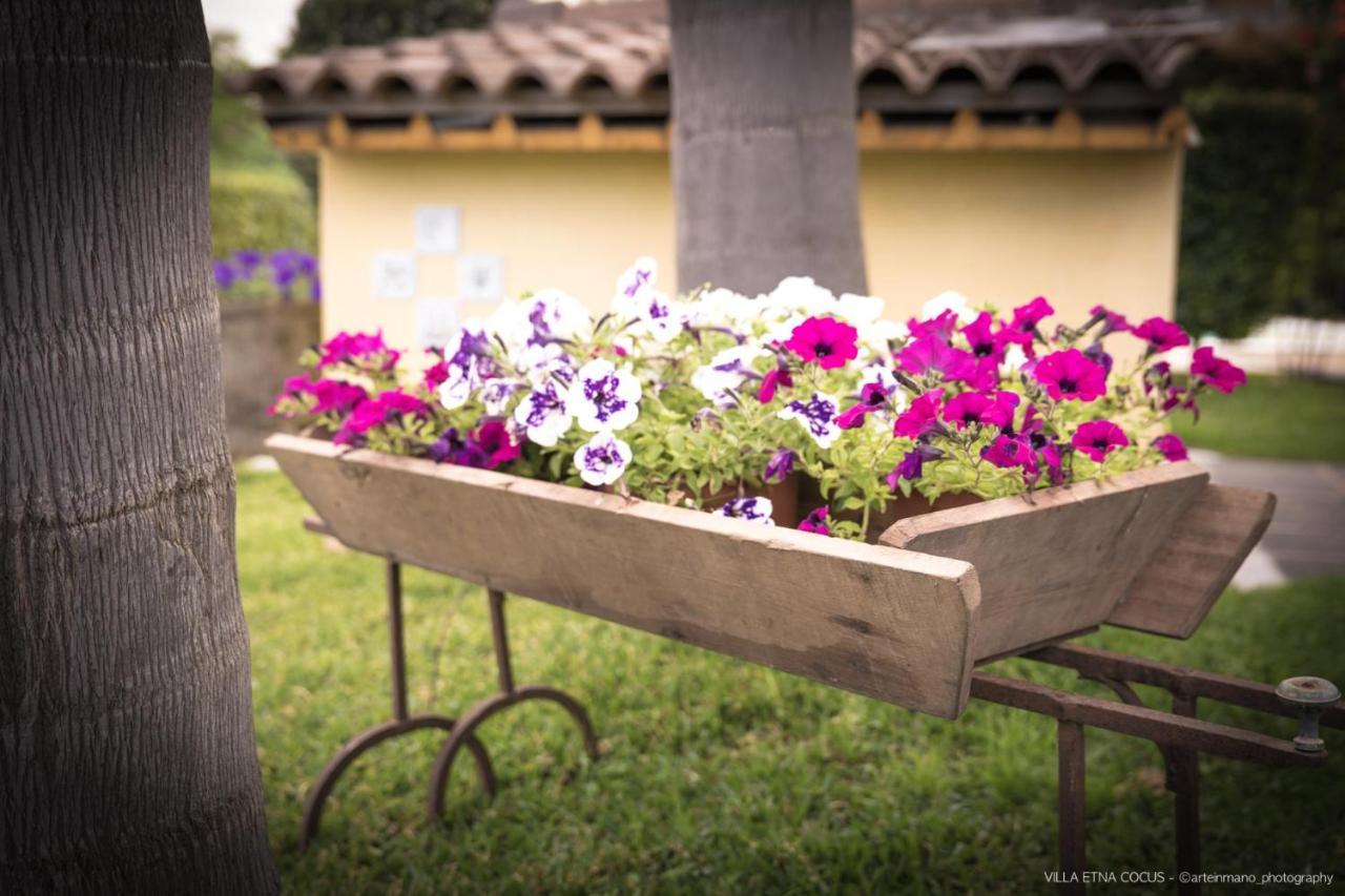 Casa Vacanze Etna Cocus Santa Venerina Exteriér fotografie